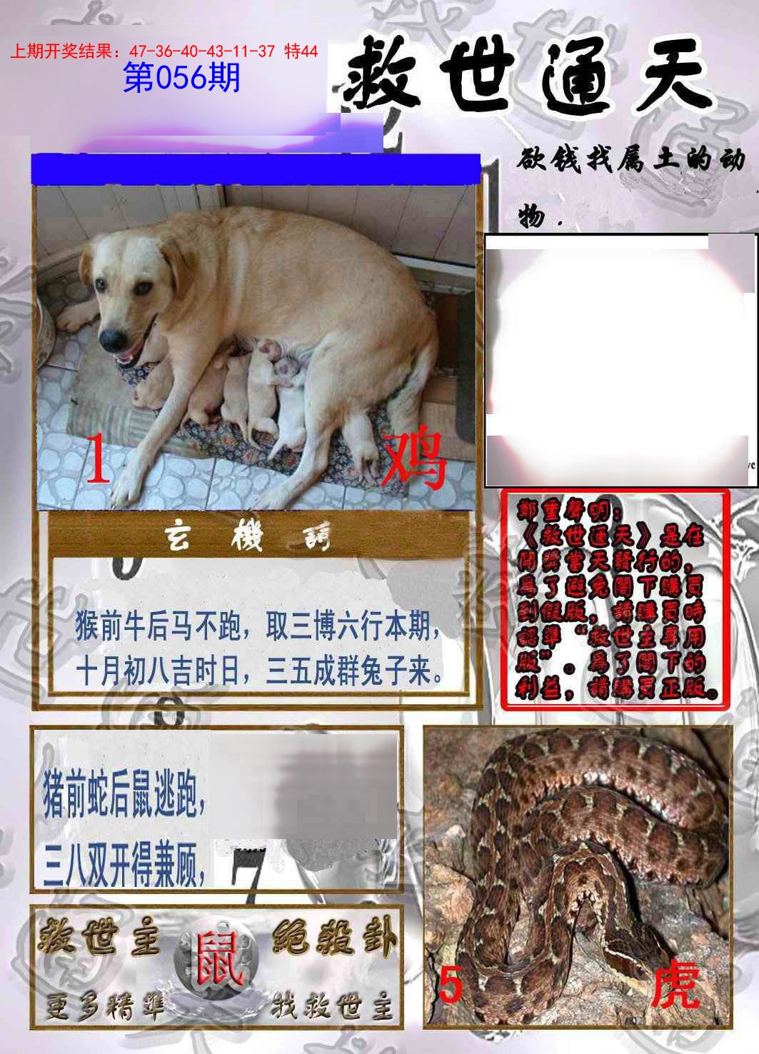 056期救世通天报[图]