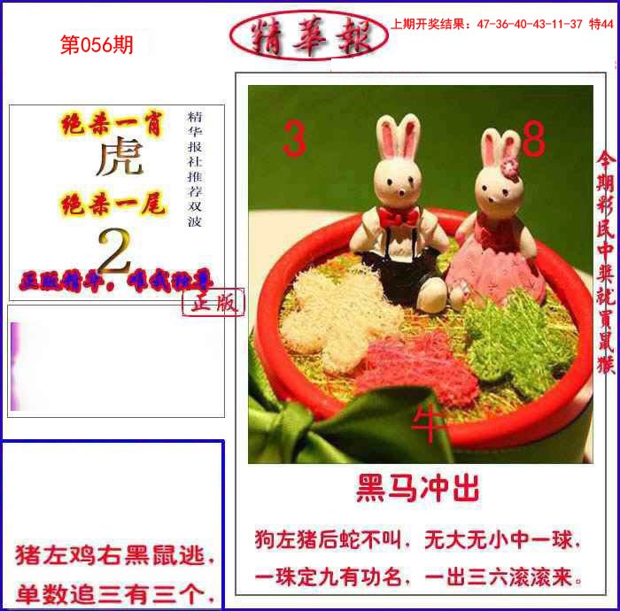 056期新精华报报[图]