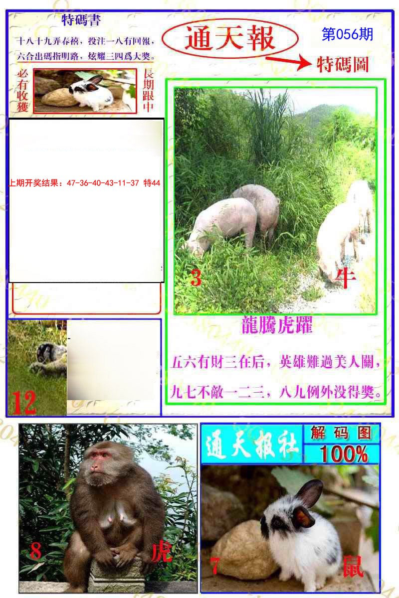 056期通天特解图[图]