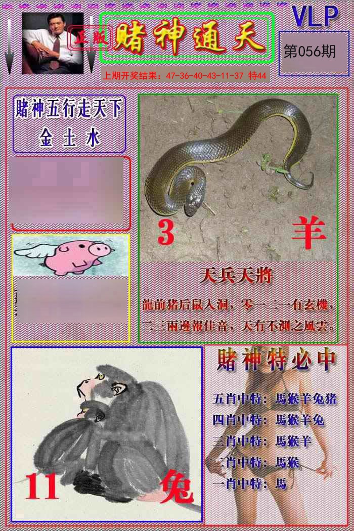 056期赌神通天报[图]