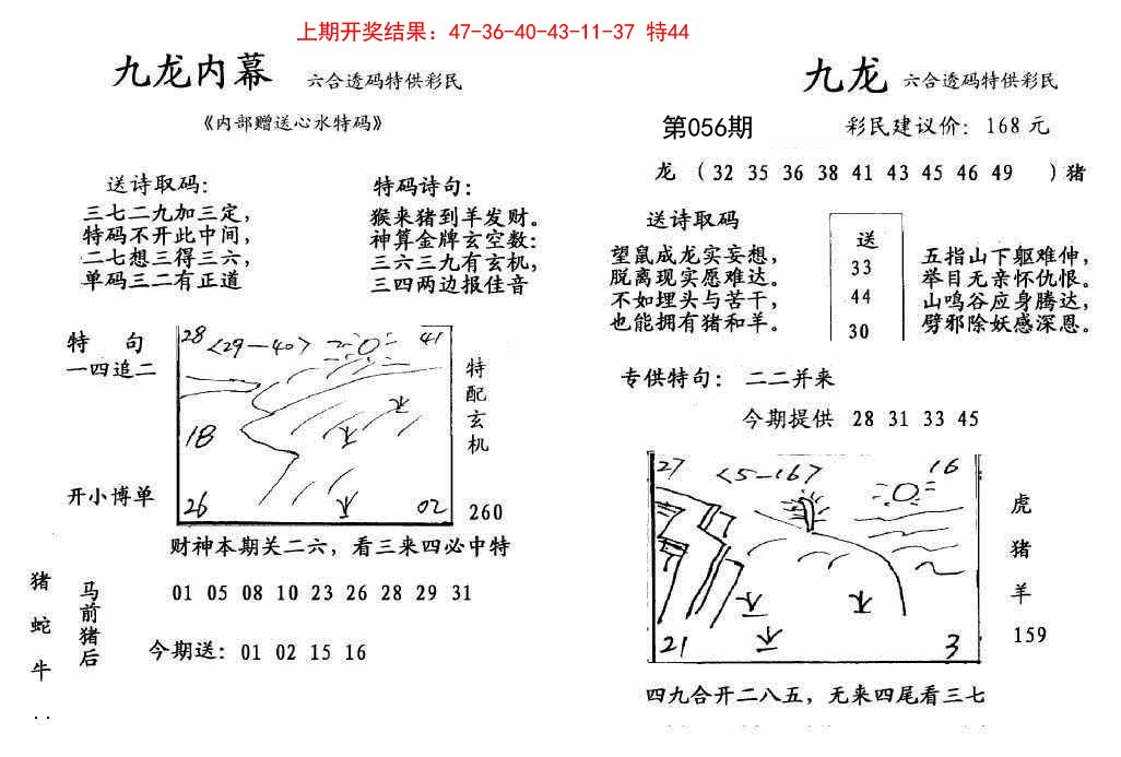 056期九龙内幕[图]