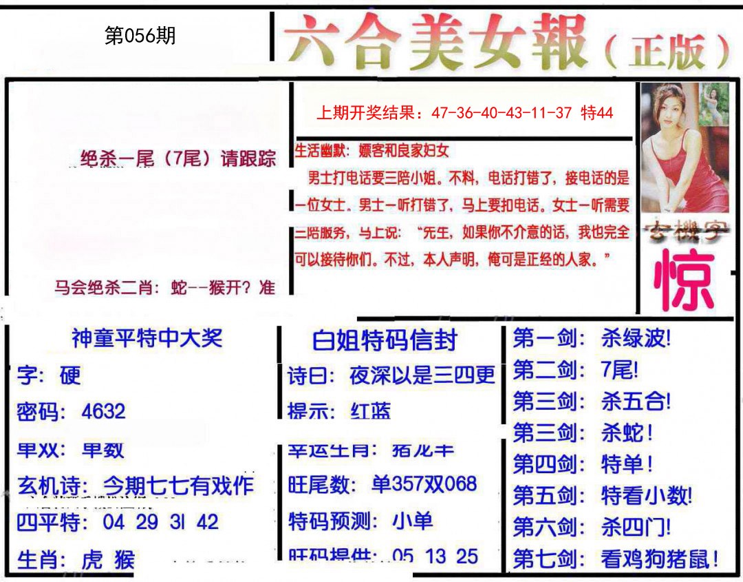 056期美女报[图]