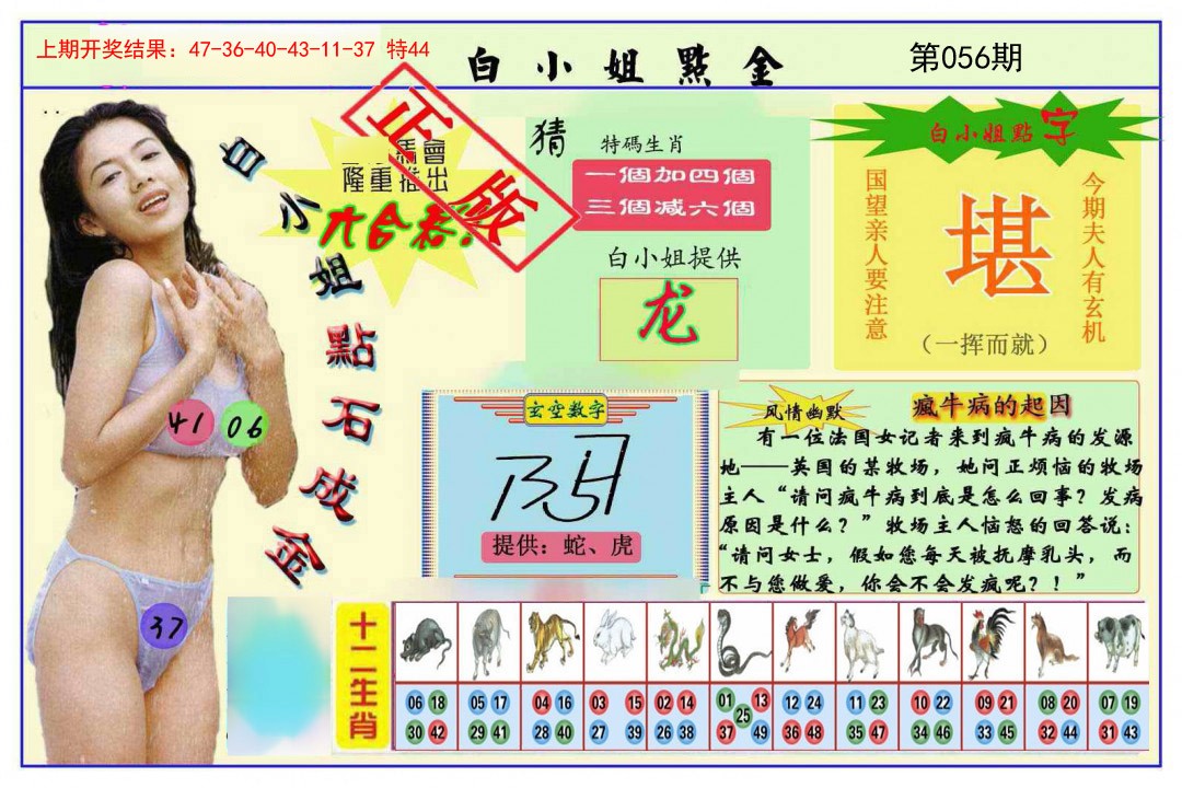 056期白小姐点金[图]