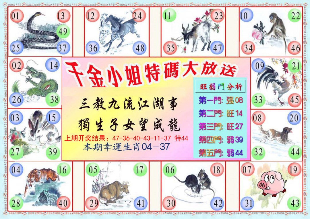 056期千金小姐B版[图]