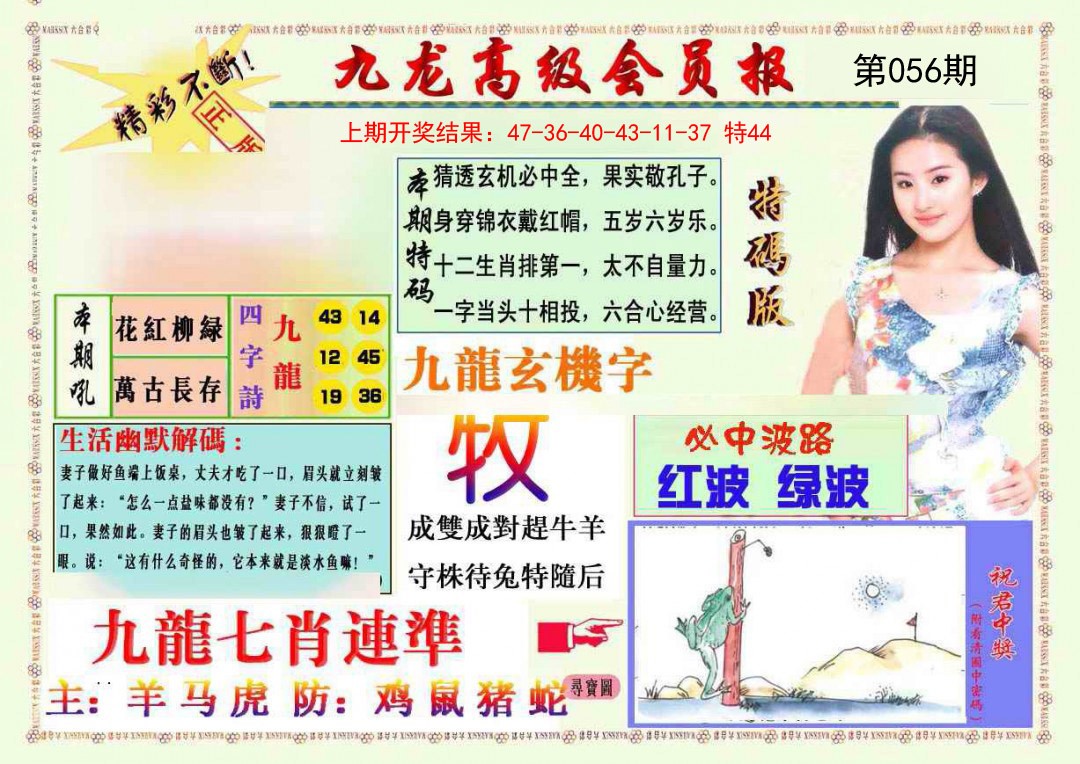 056期九龙高级会员报[图]