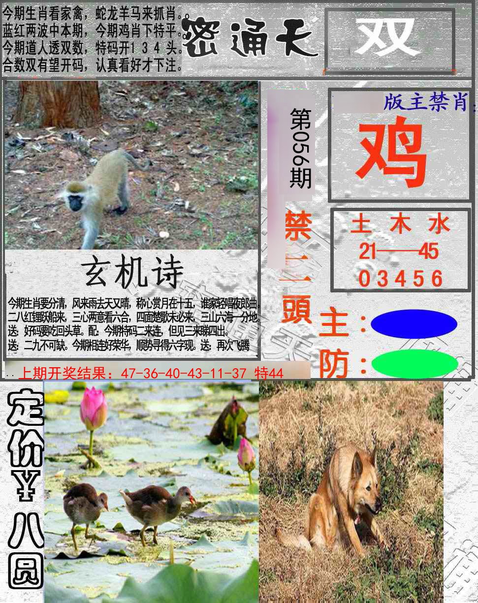 056期密通天[图]