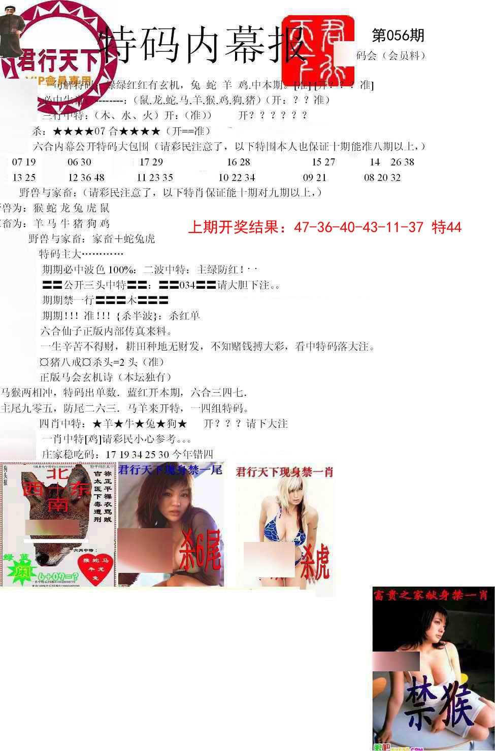 056期特码内幕报[图]
