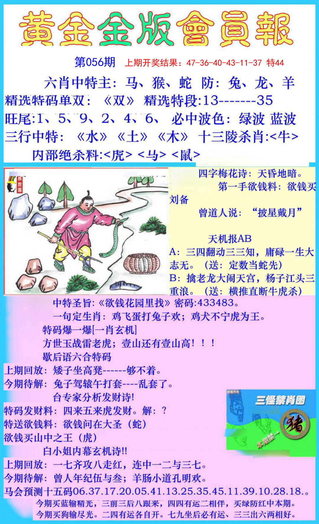 056期黄金金版会员报[图]