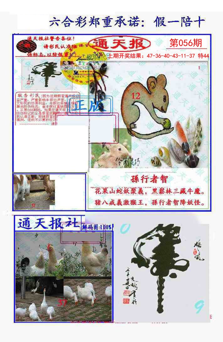 056期假一陪十通天报[图]