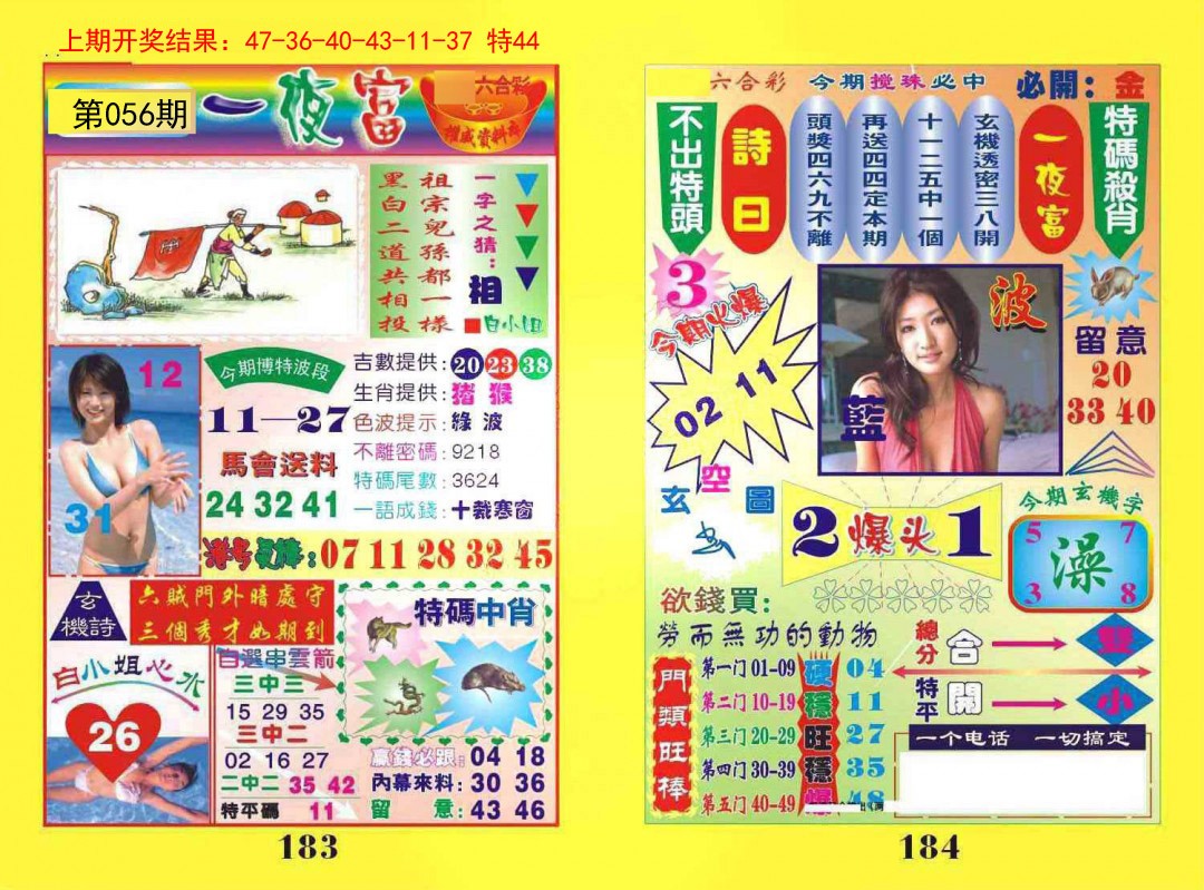 056期一夜富[图]
