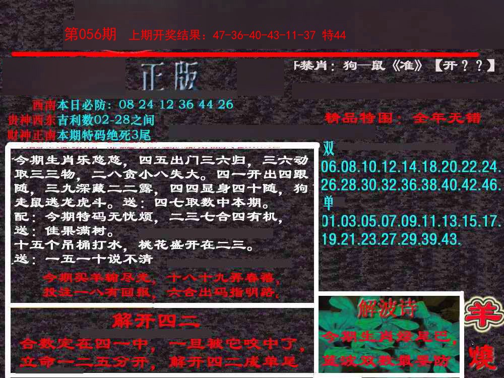 056期新港内幕[图]