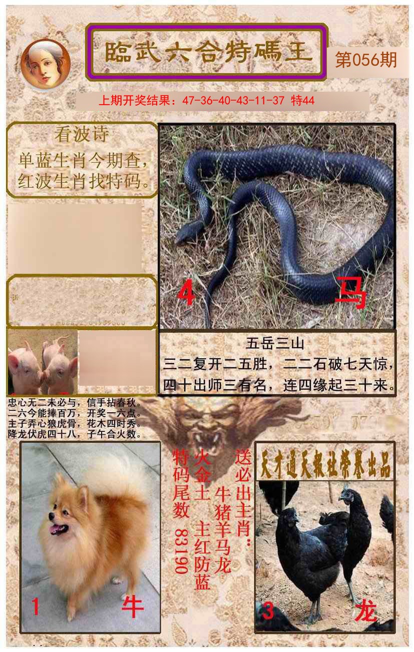 056期临武六合特码王[图]