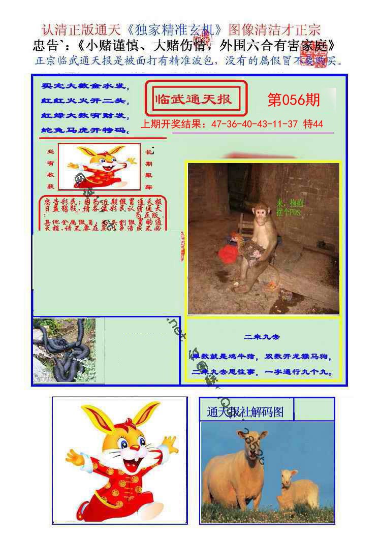 056期临武通天报[图]