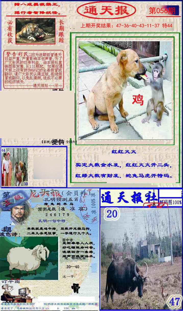 056期实力通天报[图]