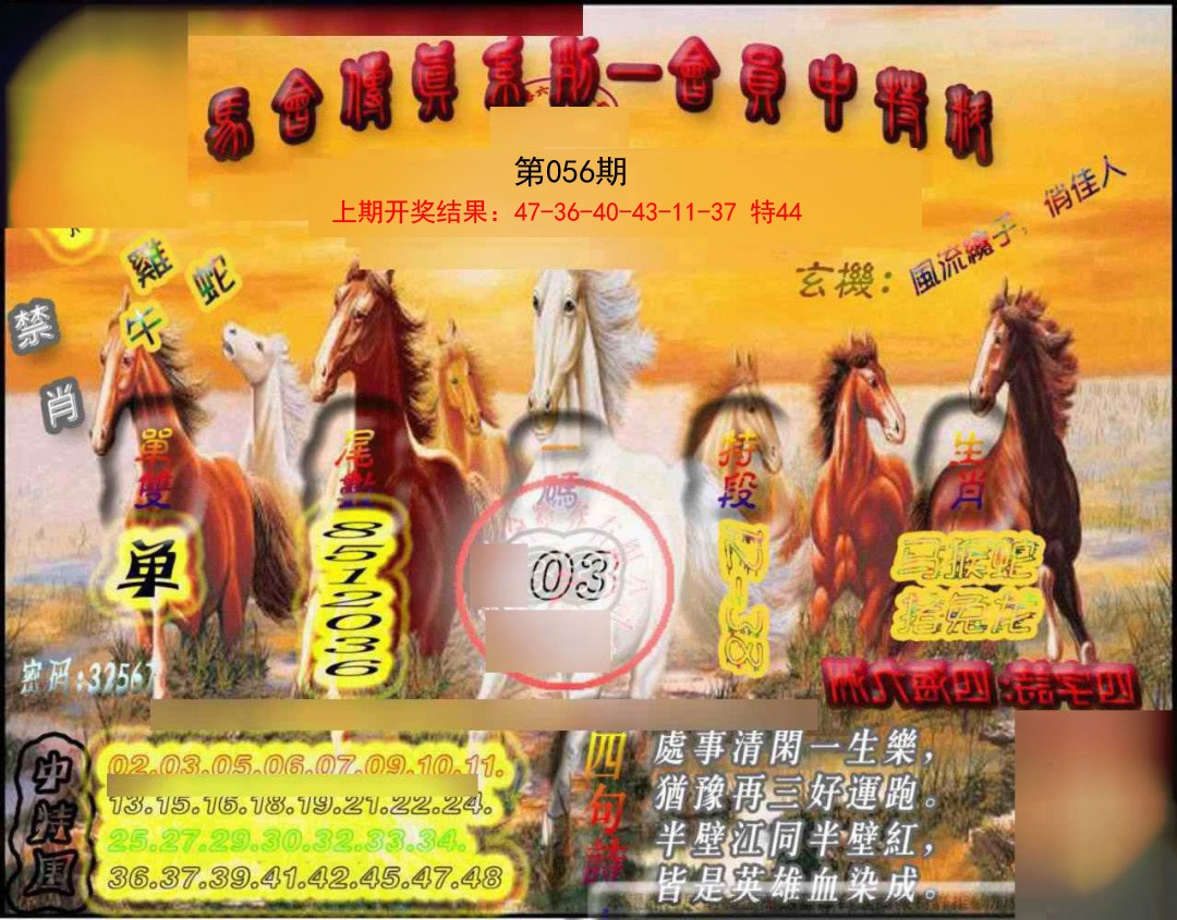 056期马会传真-会员报[图]