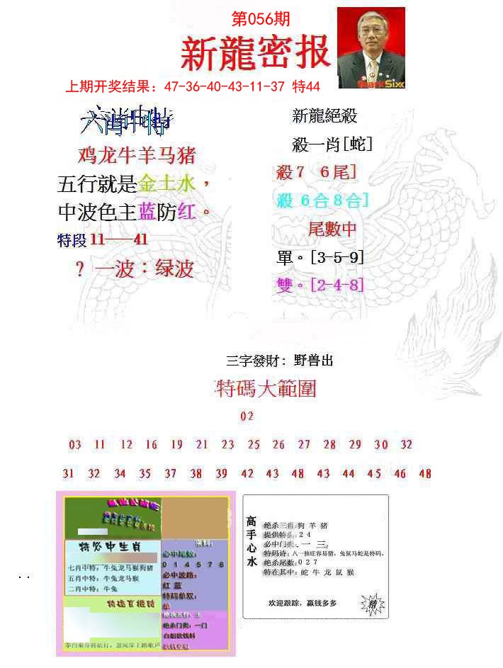 056期新龙密报[图]