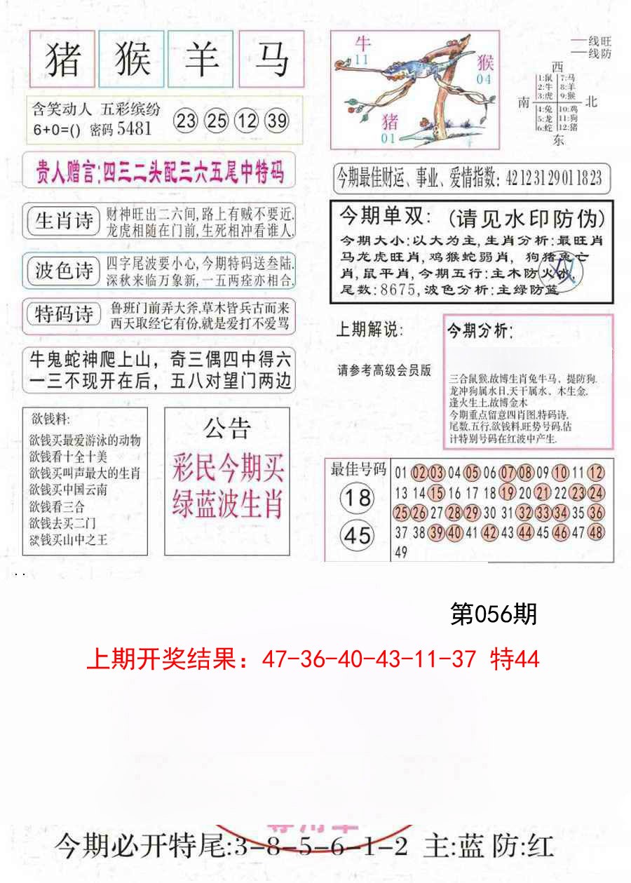 056期凤凰闲情A[图]