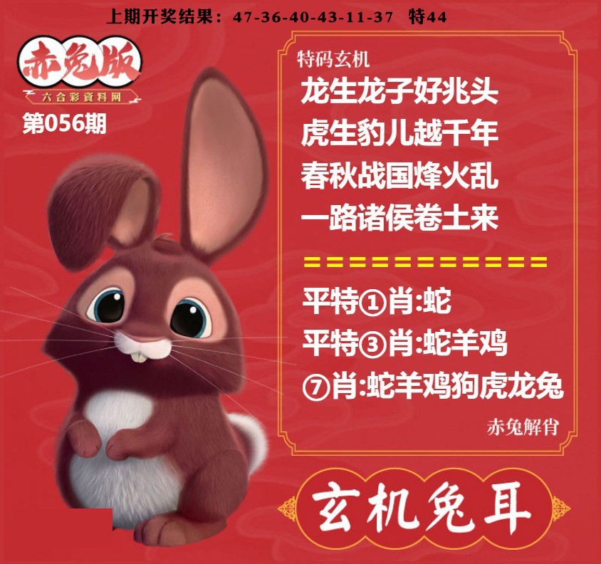 056期玄机兔耳[图]