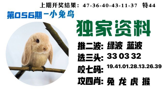 056期小兔鸟[图]