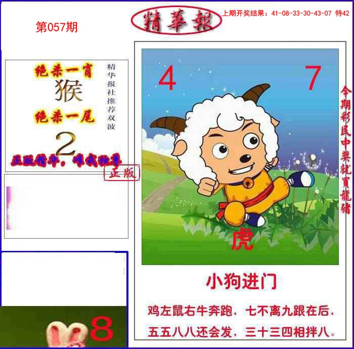 057期新精华报报[图]