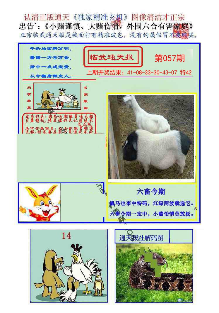 057期临武通天报[图]