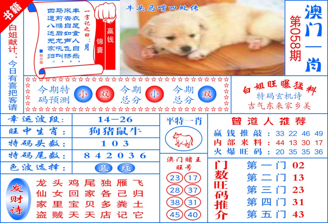 058期澳门东北虎[图]