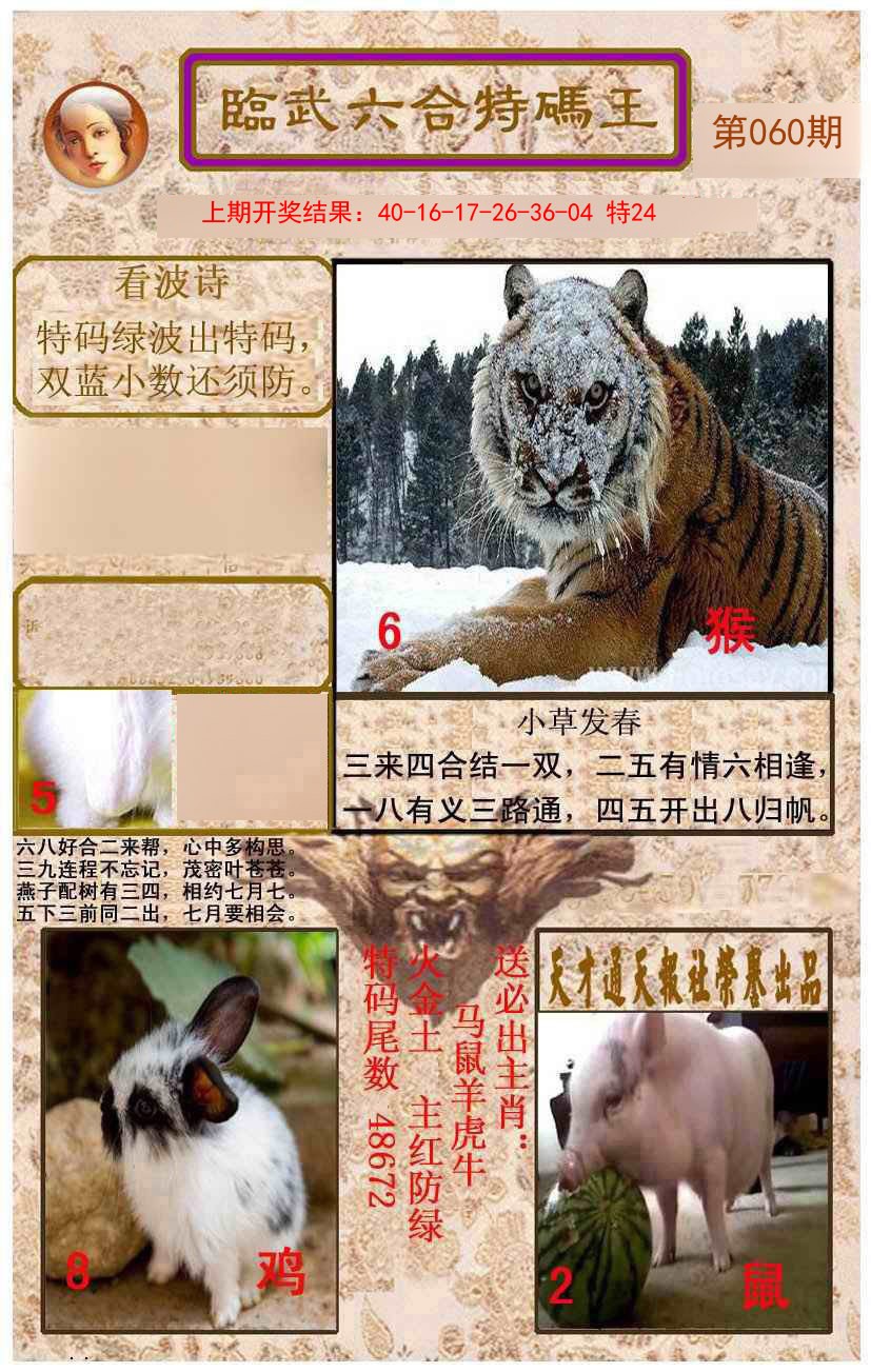 060期临武六合特码王[图]