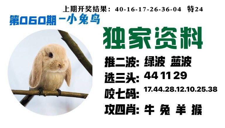 060期小兔鸟[图]