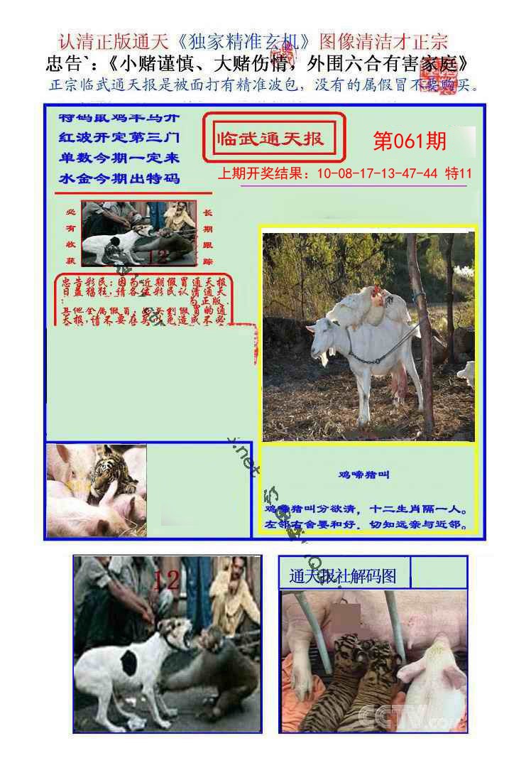 061期临武通天报[图]