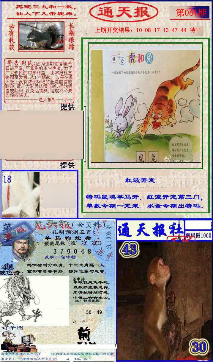 061期实力通天报[图]