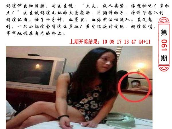 061期澳门生活幽默[图]