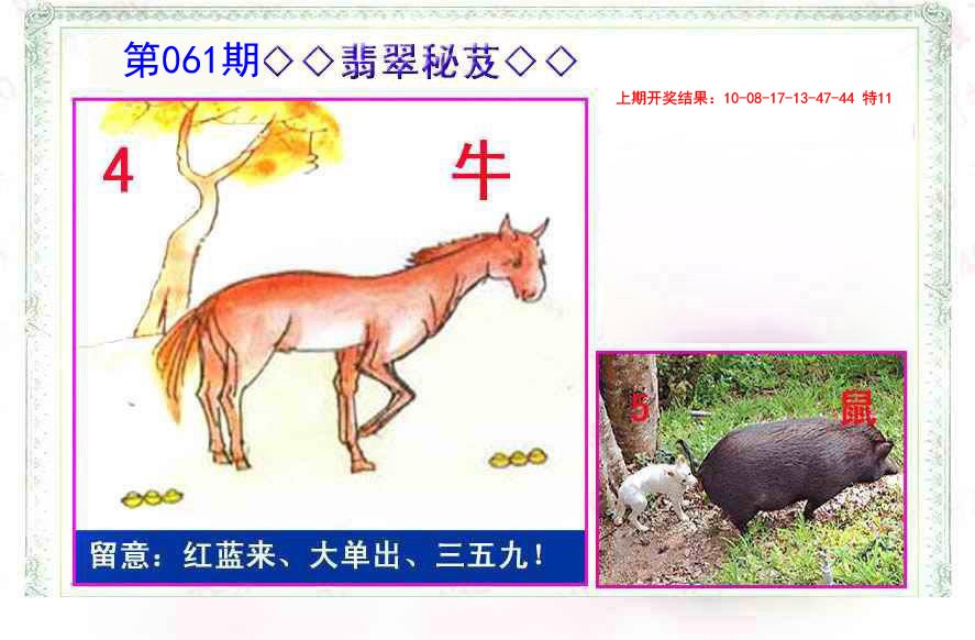 061期翡翠报[图]