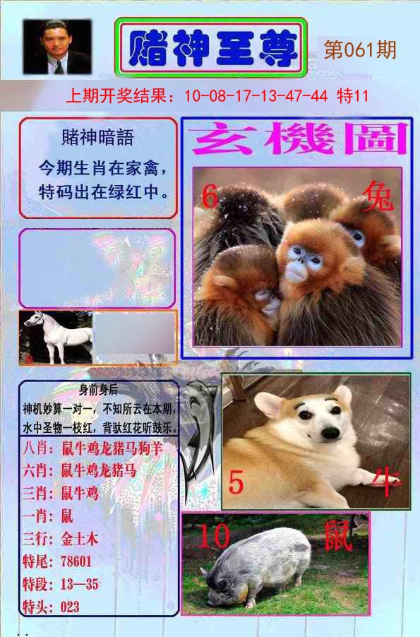 061期赌神至尊[图]