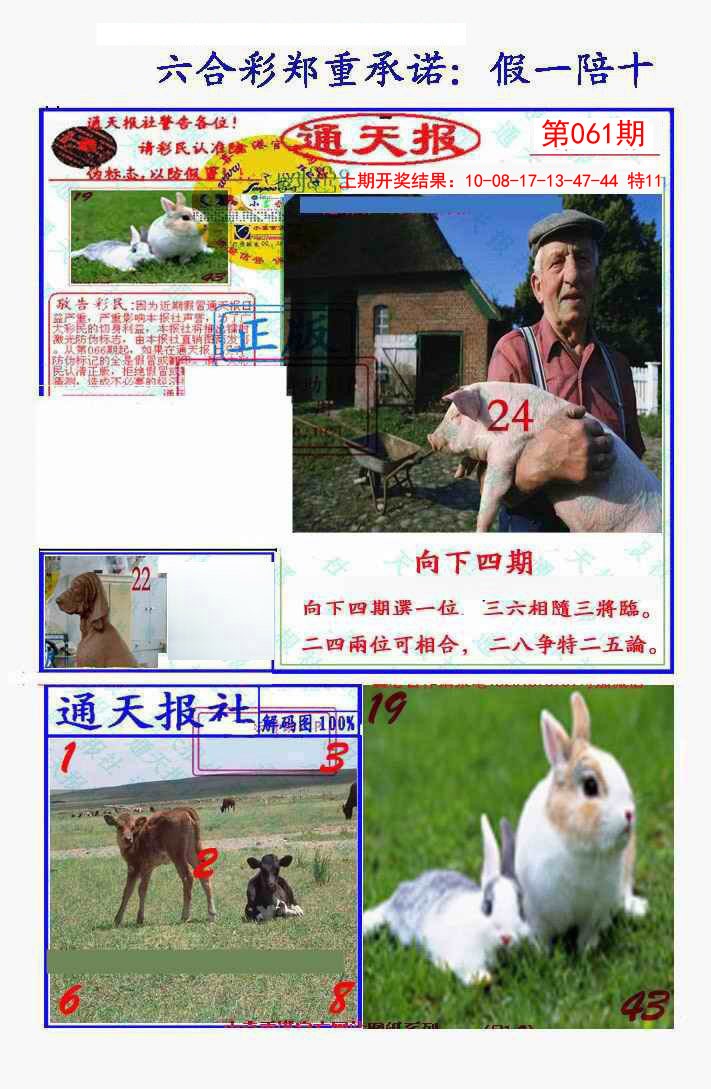 061期假一陪十通天报[图]