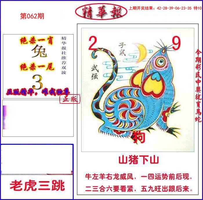 062期新精华报报[图]