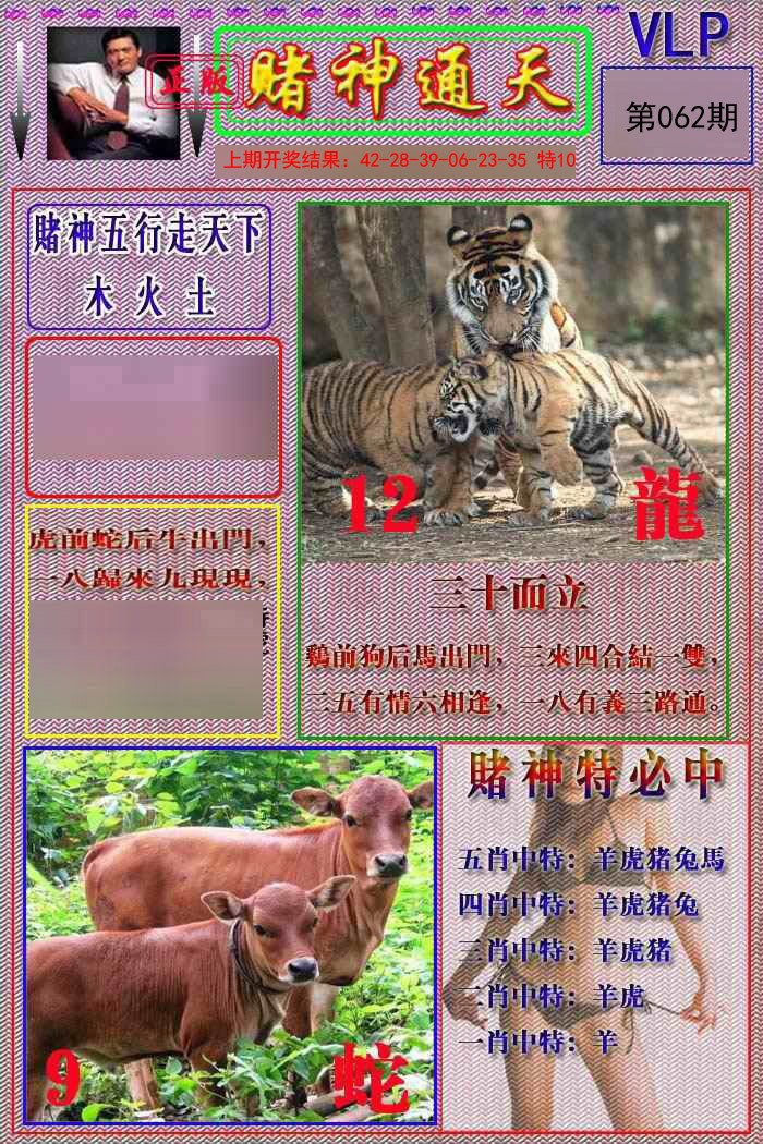 062期赌神通天报[图]