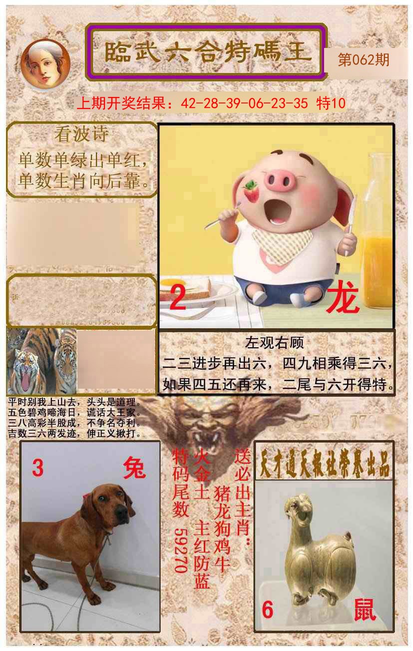 062期临武六合特码王[图]