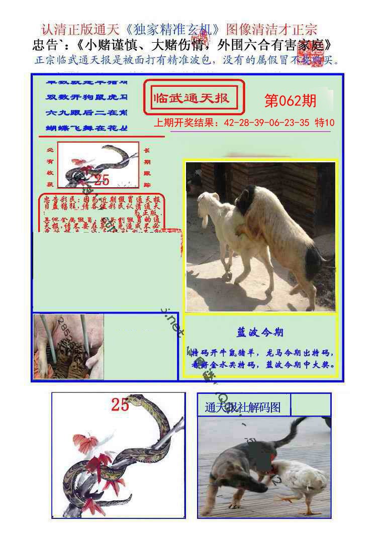 062期临武通天报[图]