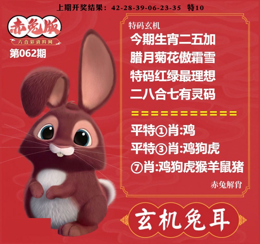 062期玄机兔耳[图]