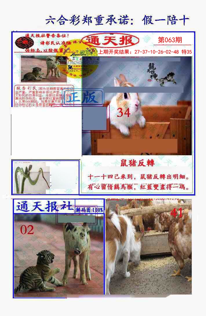 063期假一陪十通天报[图]