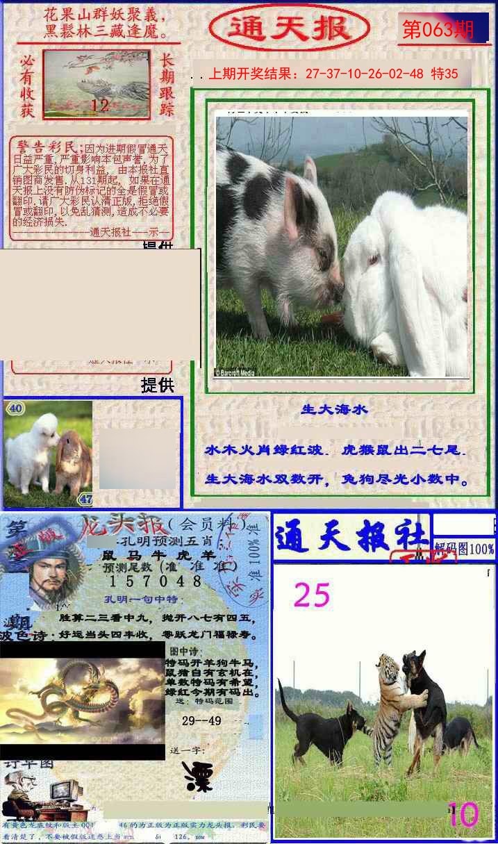 063期实力通天报[图]