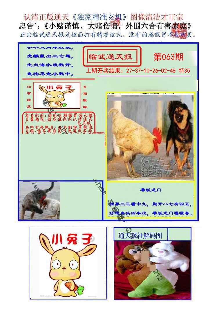 063期临武通天报[图]