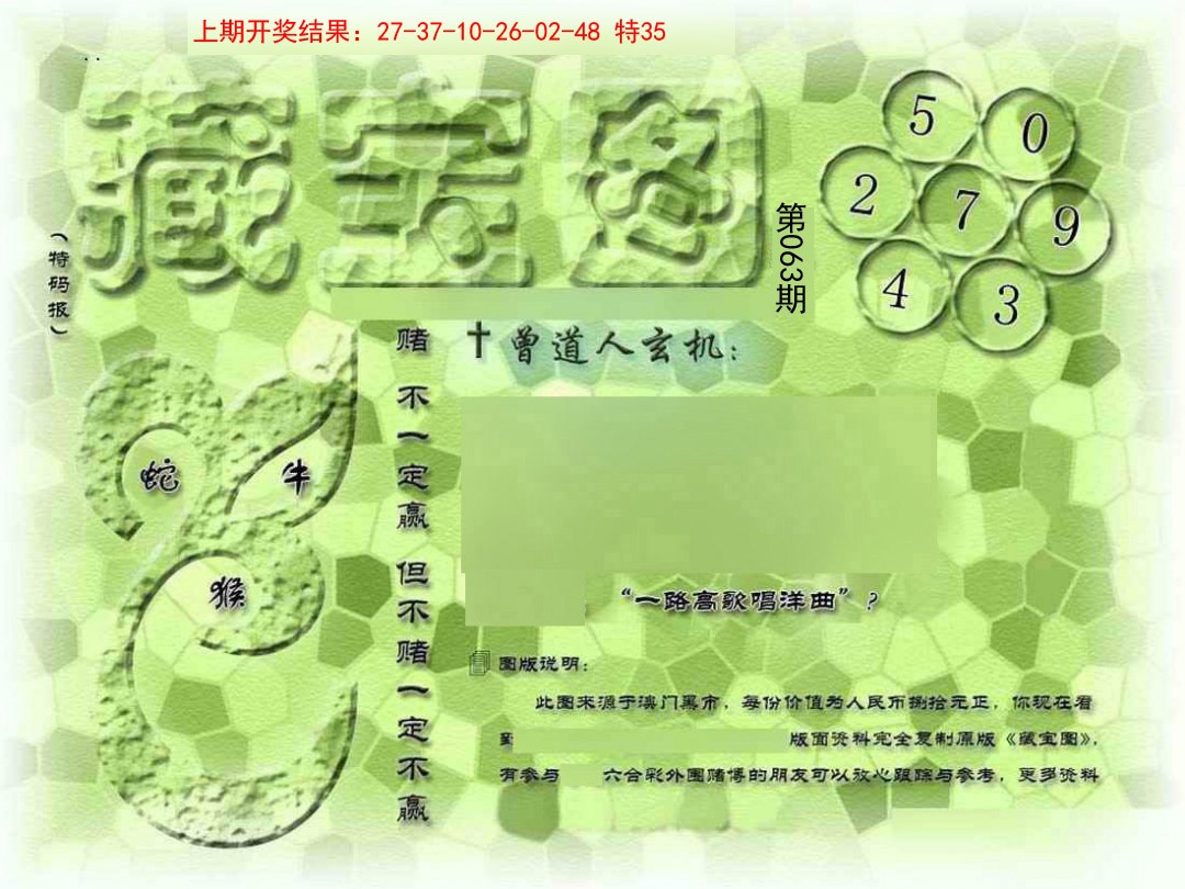 063期假新藏宝图[图]