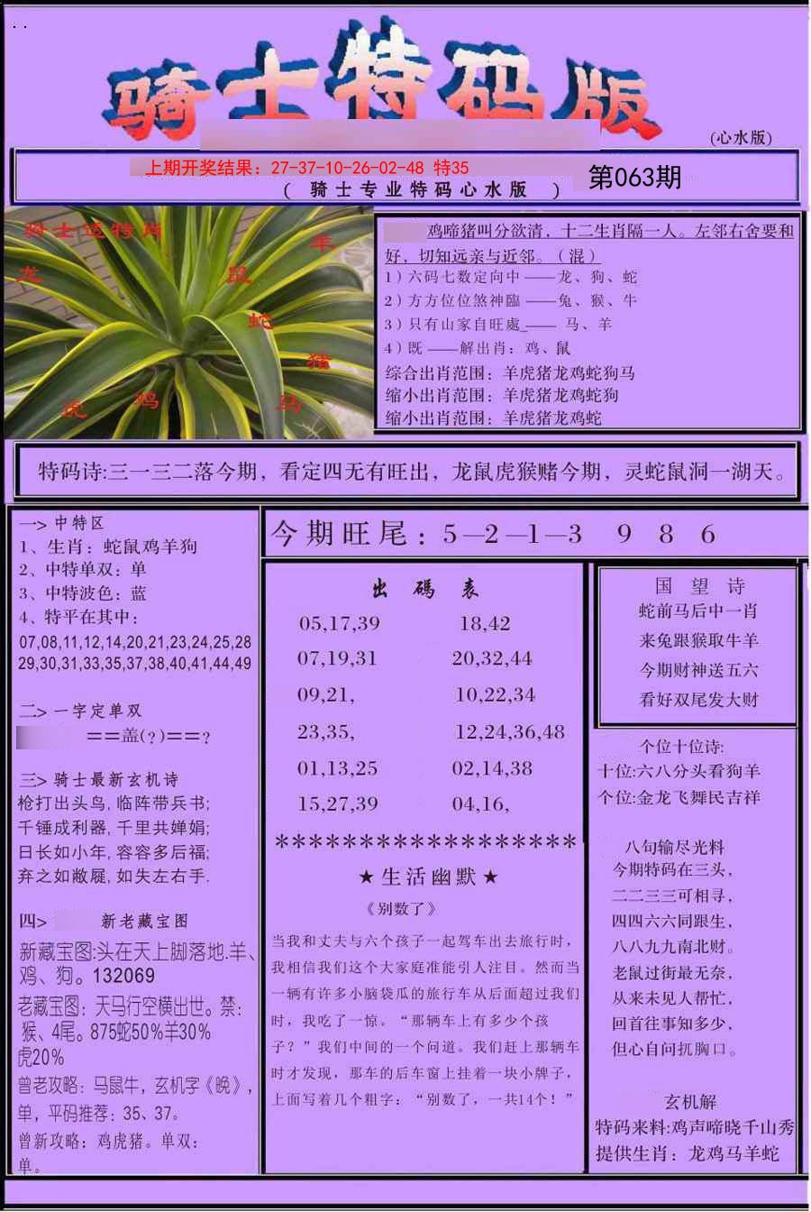 063期骑士特码版[图]