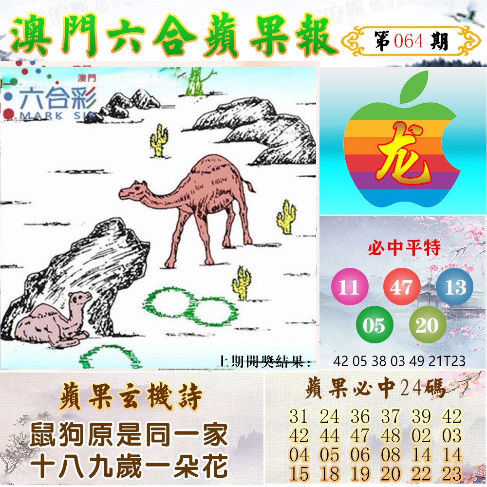 064期苹果报[图]