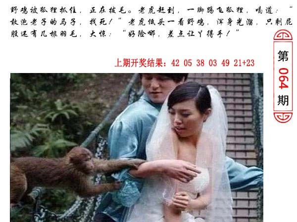 064期澳门生活幽默[图]