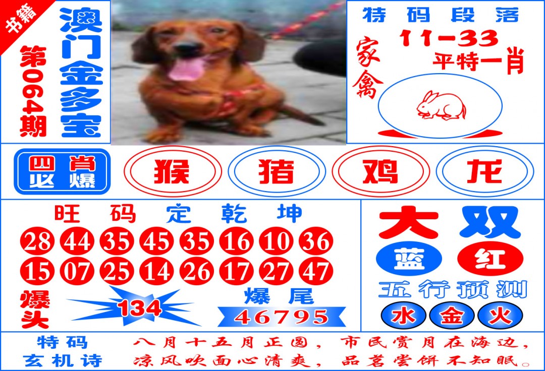 064期澳门金元宝[图]