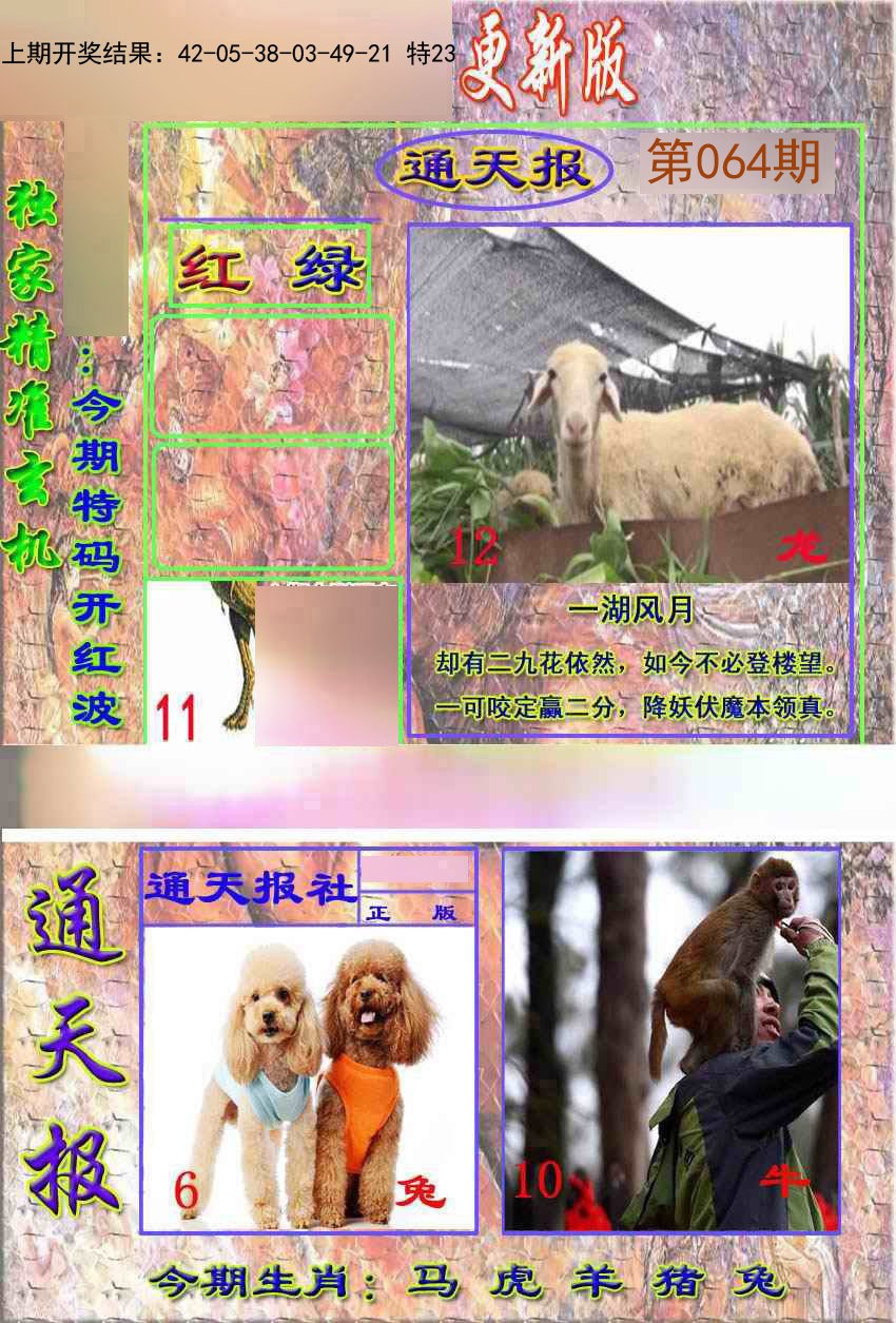 064期新通报[图]