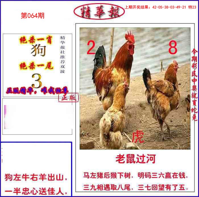 064期新精华报报[图]