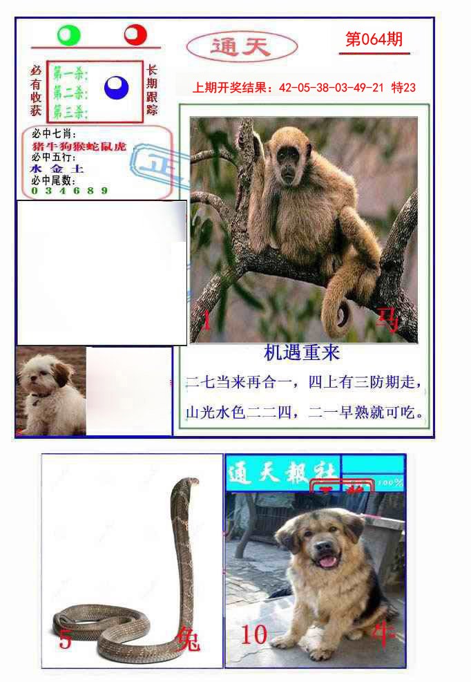 064期通天杀波图2[图]